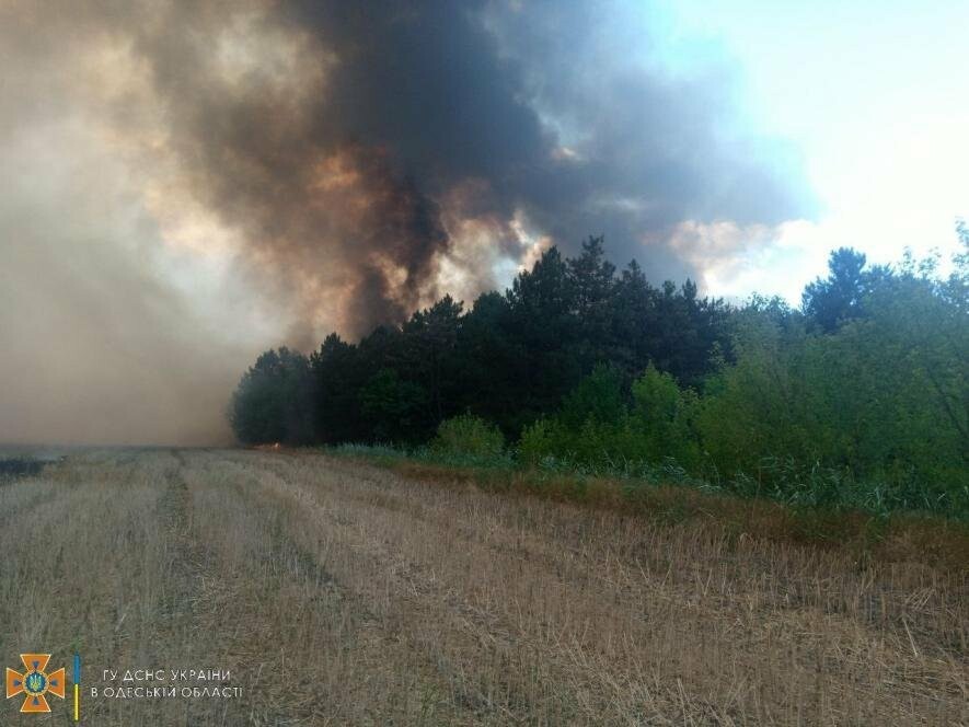 В Одеській області майже 20 годин гасили пожежу у лісі, - ФОТО