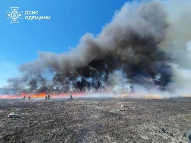 Вогонь на Одещині знищив гектари: рятувальники боролись з масштабною пожежею, - ФОТО