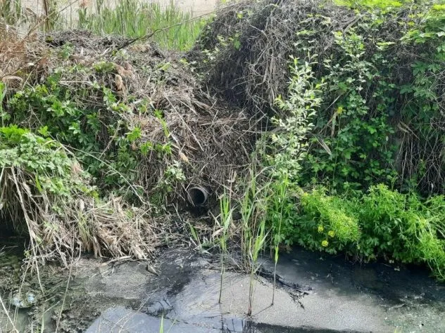 Стічні води в Чорноморській балці: в Одесі викрили незаконні скиди від приватних будинків і підприємств