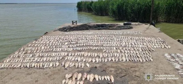 Сімейний браконьєрський "бізнес": на Одещині впіймали батька й сина з уловом на мільйони, - ФОТО