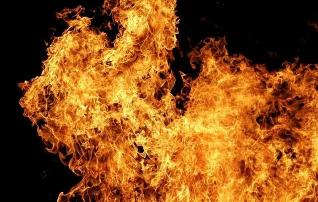Врятували господарку та ще шістьох людей: на Одещині спалахнула квартира