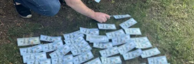 Одеситка продавала фіктивну інвалідність військовим за 14 тисяч доларів, - ФОТО
