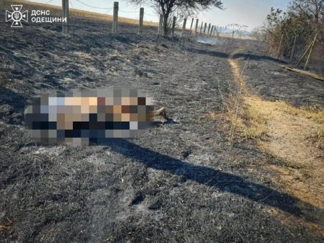 Пекельна доба на Одещині: чотири пожежі, одна загибла і троє постраждалих, - ФОТО