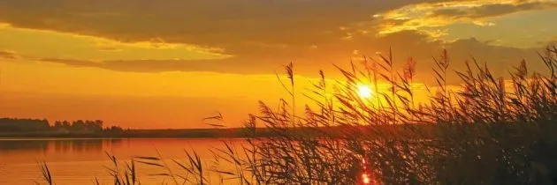 Погода в Одесі у п'ятницю: синоптики прогнозують до +29°C та ясне небо
