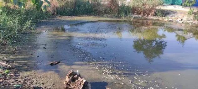 На Одещині вода отруює життя людей: екологи зафіксували критичні показники