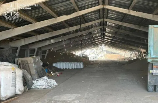 Одна людина постраждала: двома балістичними ракетами росіяни вдари по складу із зерном на Одещині, - ФОТО