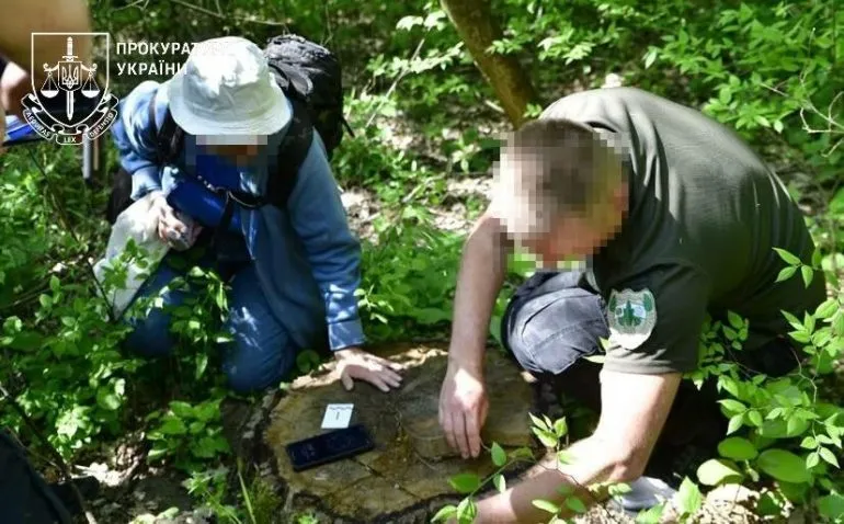 Збитки на понад 157 мільйонів: лісова корупція на Одещині завдала значної шкоди екології, - ФОТО