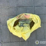 Знайшов у лісі — продав: жителя Одещини засудили за збут бойових гранат