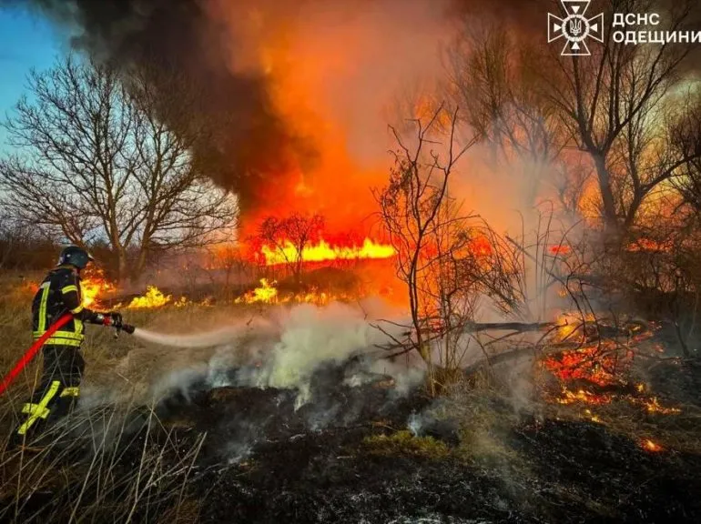 Суха трава вже горить: на Одещині фіксують десятки пожеж