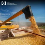 Тіньова кукурудза йшла через Одеський порт: БЕБ зірвало схему на сотні мільйонів, - ФОТО, ВІДЕО