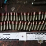 Арсенал у дворі: на Одещині викрили схованку з набоями