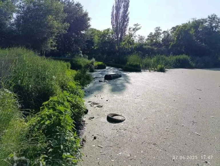 На Одещині громаді повернули рекреаційні землі поблизу Савицького парку вартістю 167 млн грн