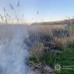 На Одещині через спалювання сміття ледь не сталася масштабна пожежа